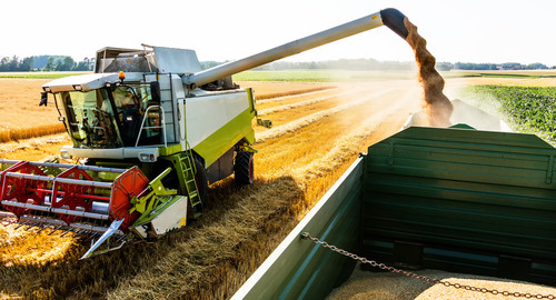 Agroindústria é ofertado como curso técnico por instituições de ensino.